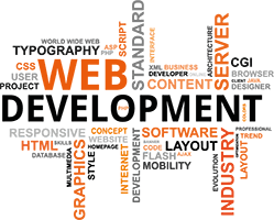 Design- & Web-Entwickllung